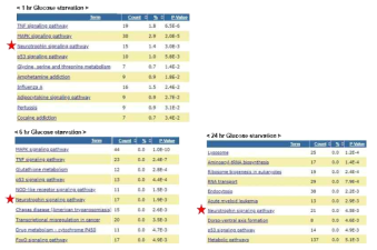 Astrocyte 배양 중 media 내의 Glucose를 시간대(1hr, 6hr, 24hr) 별로 감소시킨 후 RNA를 추출하여 RNA-seq을 수행하였음. 대조군 대비 발현변화 (｜FC｜≥ 1.5)가 두드러진 유전자를 선별하여 DAVID gene ontology 분석을 통하여 유의미한 유전자 군을 선별하여 나타냄. 각 표는 글루코스 감소에 의해 영향 받은 상위 10개의 유의미한 유전자 군을 나열하였음. 붉은색 별표는 인지능력 개선과 관련되어있다고 알려진 Neurotrophin signaling pathway를 강조한 것임