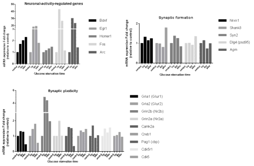 ‘그림c’의 RNA-seq 실험결과 중 인지능력개선과 연관이 있다고 알려진 신경활동조절인자, 시냅스 형성 및 가소성 관련 유전자를 선별하여 대조군과 비교한 각각의 유전자 발현 변화를 막대그래프로 나타내었음