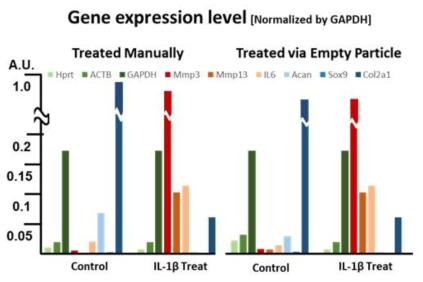 PEGDA 미세입자는 세포의 유전자 발현 패턴에 영향을 주지 않음