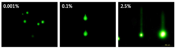 Methylene blue와 내시경 광원에 의한 Caco-2 cell의 comet assay 결과