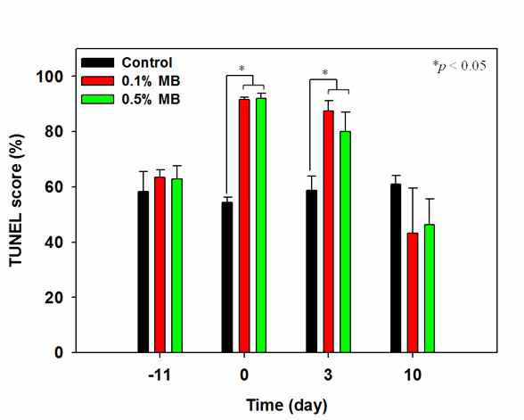 M.B 0.1%, 0.5% 농도에서의 내시경 조사 전 후 TUNEL score