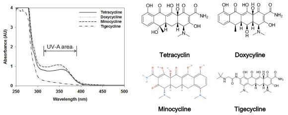 4종의 항생제 화학구조와 흡수곡선 결과