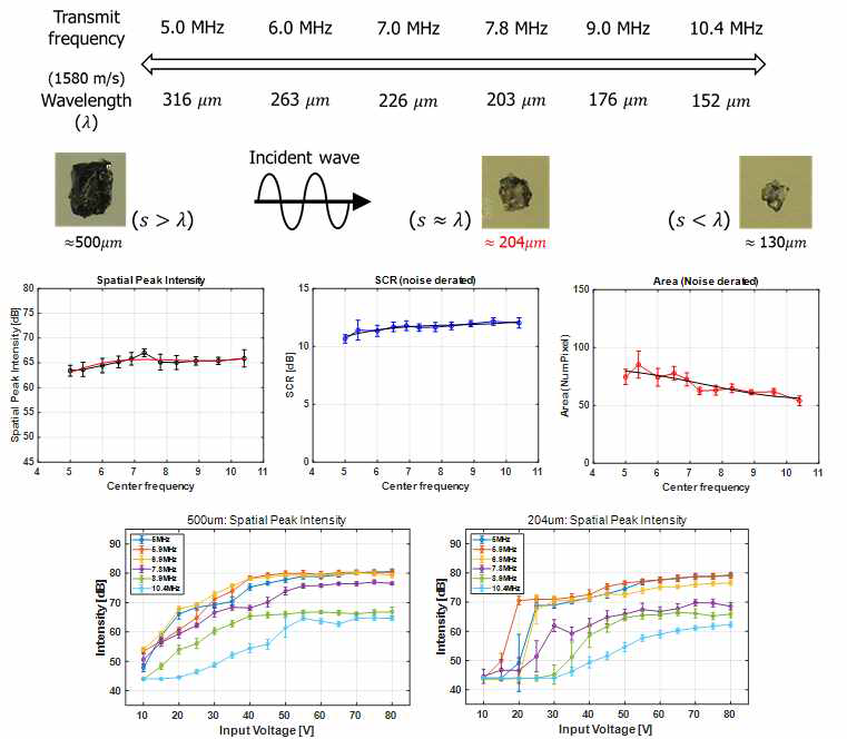 의료 영상용 초음파 대역폭에서 송신 주파수(파장) 및 출력 음압 변화에 따른 시변 산란 신호 크기 변화 확인