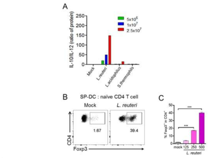 Induction of Treg-cells by Lr IMB5. (A) Few bacterial strains were co-cultured with total mesenteric lymph node cells and IL-10 and IL-12 were measured (B and C) Lr IMB5 primed splenic CD11c+ DCs were co-cultured with sorted naive CD4+ T cells and Foxp3 expression was measured by FACS. B, representative FACS plot. C, Dose dependent Foxp3 upregulation Student t-test was applied to derive statistical significance and data was analysed in Graph pad prism 8.0