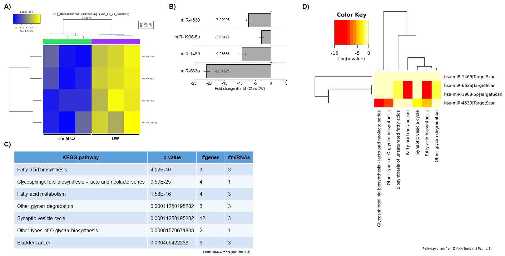 5 mM acetate (vs. DW-대조군) 실험군 내 엑소좀 성 miRNAs 발현 양상. (A) Cluster analysis-Hierarchical clustering heatmap (5 mM acetate-실험군 vs. DW-대조 군) (B) ｜FC｜≥2 발현 증감을 나타내는 miRNAs 및 발현 정도 그래프 (C) 해당 miRNAs에 대한 target genes union 및 pathway union 분석