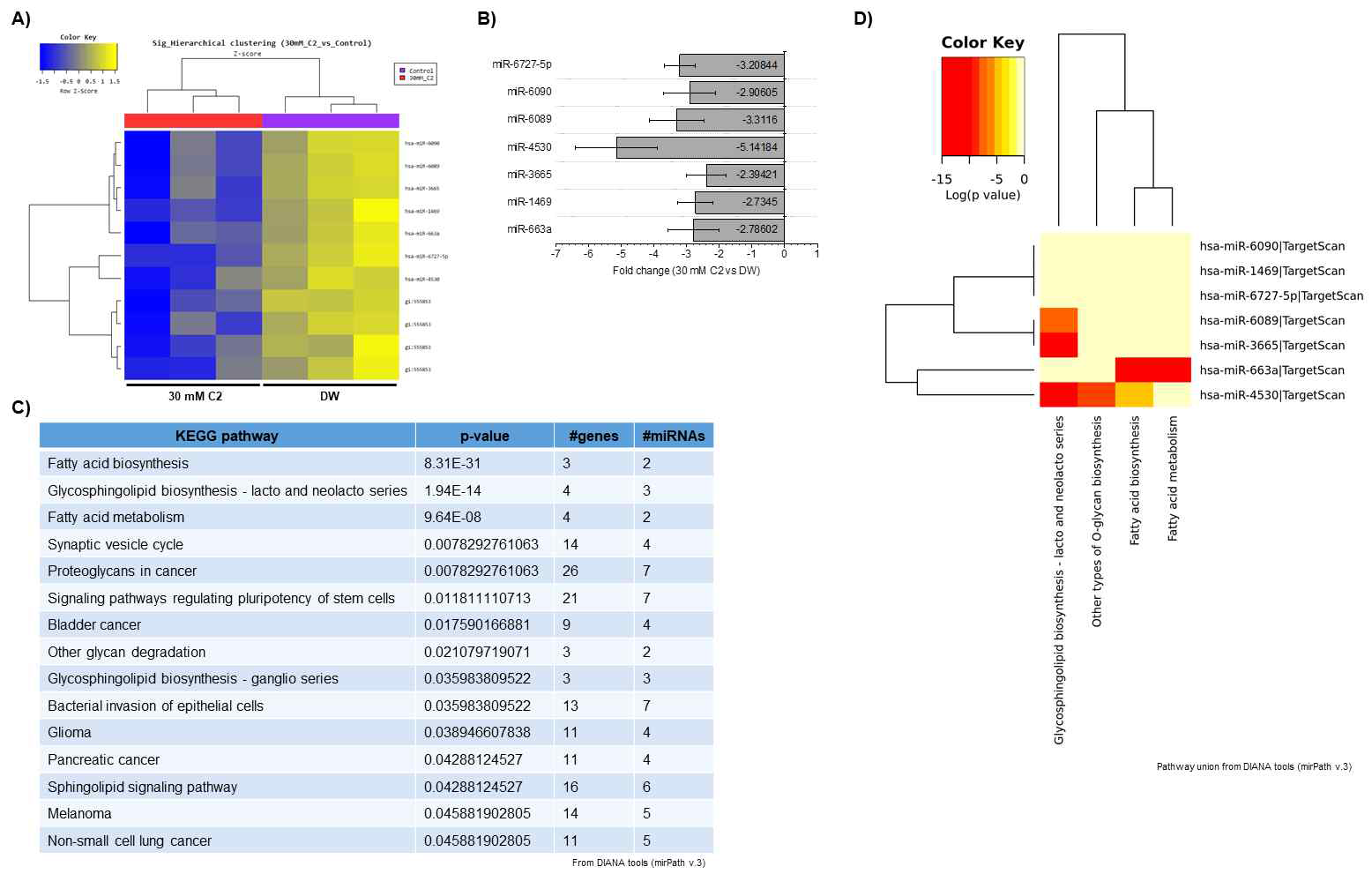 30 mM acetate (vs. DW-대조군) 실험군 내 엑소좀성 miRNAs 발현 양상. (A) Cluster analysis-Hierarchical clustering heatmap (30 mM acetate-실험군 vs. DW-대조군) (B) ｜FC｜≥2 발현 증감을 나타내는 miRNAs 및 발현 정도 그래프 (C) 해당 miRNAs에 대한 target genes union 및 pathway union 분석
