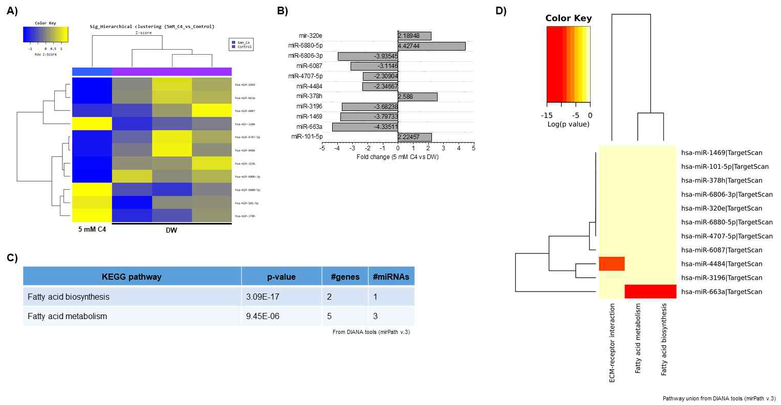 5 mM butyrate (vs. DW-대조군) 실험군 내 엑소좀성 miRNAs 발현 양상. (A) Cluster analysis-Hierarchical clustering heatmap (5 mM butyrate-실험군 vs. DW-대조군) (B) ｜FC｜≥2 발현 증감을 나타내는 miRNAs 및 발현 정도 그래프 (C) 해당 miRNAs에 대한 target genes union 및 pathway union 분석
