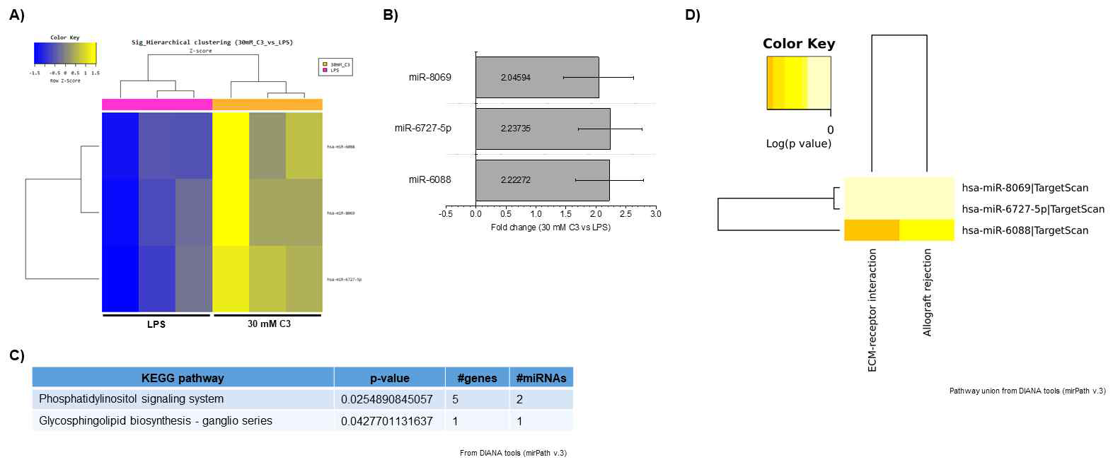 30 mM propionate (vs. LPS-실험군) 실험군 내 엑소좀성 miRNAs 발현 양상. (A) Cluster analysis-Hierarchical clustering heatmap (30 mM propionate-실험군 vs. LPS-실험군) (B) ｜FC｜≥2 발현 증감을 나타내는 miRNAs 및 발현 정도 그래프 (C) 해당 miRNAs에 대한 target genes union 및 pathway union 분석