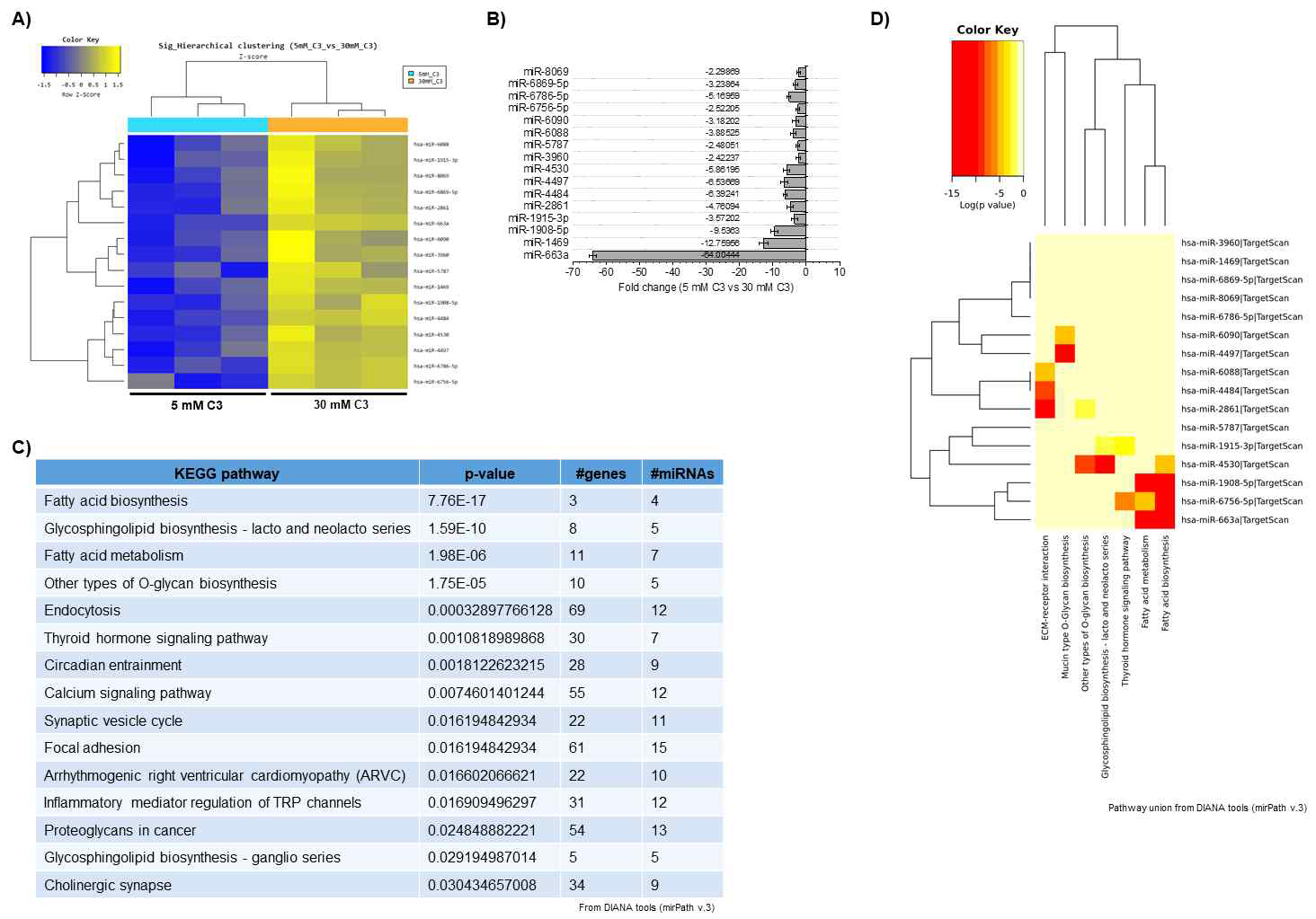 5 mM propionate (vs. 30 mM propionate) 실험군 내 엑소좀성 miRNAs 발현 양상. (A) Cluster analysis-Hierarchical clustering heatmap (5 mM propionate vs. 30 mM propionate) (B) ｜FC｜≥2 발현 증감을 나타내는 miRNAs 및 발현정도 그래프 (C) 해당 miRNAs에 대한 target genes union 및 pathway union 분석