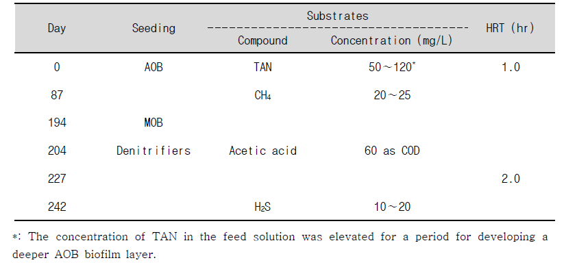 Sequential add-up seeding and feeding for stratified biofilms development