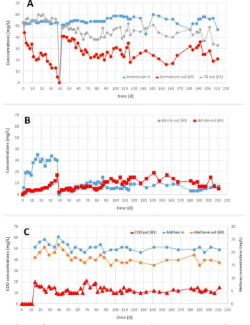 (A, B, C). Variation of concentrations (nitrogen, CH4 and COD) in R3