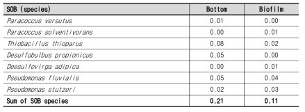 SOB cell counts as percent to the total number of bacteria in the MSBfR