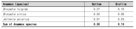 Anammox cell counts as percent to the total number of bacteria in the MSBfR