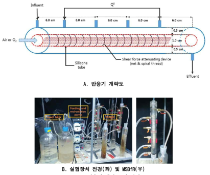 반응기 개략도 및 사진