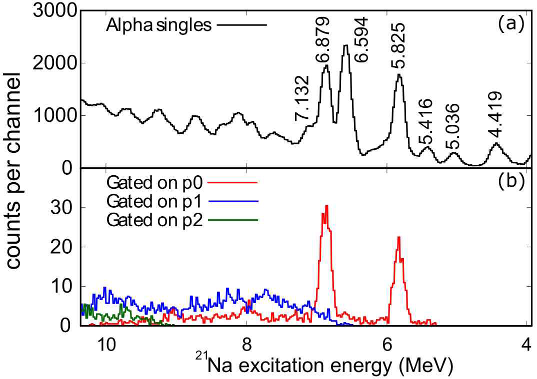 (a) 24Mg(p,a)21Na 핵반응에서 추출한 21Na excitation energy 스펙트럼 (b) p0, p1, p2 채널에 대한 gated 양성자 스펙트럼