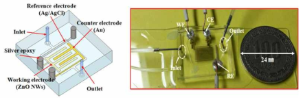 미세 유체 채널과 전극 구조가 일체화된 칩 설계 및 제작 결과