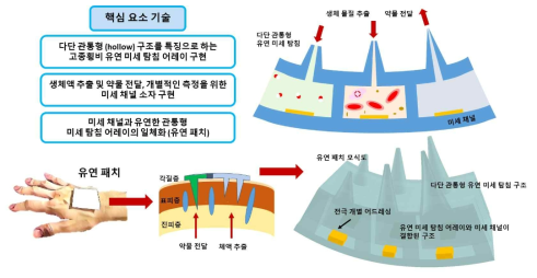 본 연구 과제 개요