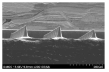 제작된 다단 미세 탐침 전자현미경 사진