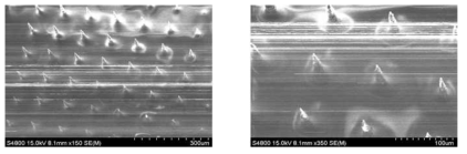 미세 탐침 끝단의 감광제를 선택적으로 식각한 후의 전자 현미경 사진