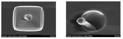 PDMS 2차 몰드 전자 현미경 사진