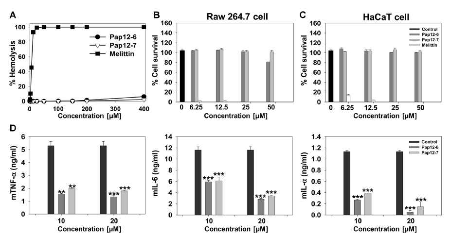 Toxicities and anti-inflammatory activities of Pap12 peptides. (A) 용혈활성. (B) RAW 264.7 cells에서의 세포독성 (C) HaCaT에서의 세포독성. (D) LPS로 자극된 Raw cell에서의 TNF-α, IL-6, IL-1 α 생성 억제능