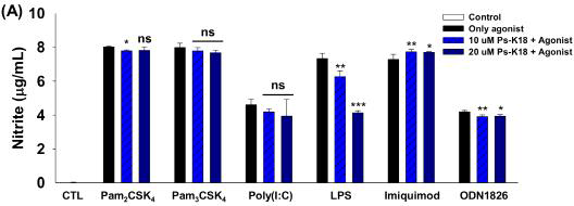 여러 가지 Toll-like receptors (TLRs) 를 알려진 agonists로 자극하여 염증반응을 일으키고 Ps-K18의 NO발생을 억제하는 능력을 관측하여 TLR4 선택성을 관측함. 각각의 TLR은 다음의 agonist로 (Pam2CSK4(200ng/mL), Pam3CSK4(200ng/mL), Poly(I:C)(2μg/mL), LPS(20ng/mL), imiquimod(1μg/mL), and ODN1826(20μg/mL))로 자극시킴