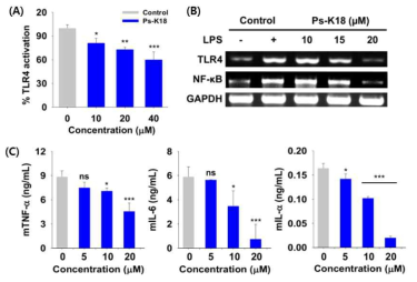 (A) HEK-Blue™ hTLR4 cells에서의 Ps-K18의 secreted alkaline phosphatase reporter gene (SEAP) 활성 억제능 (B) RT-PCR을 이용한 Ps-K18의 TLR4 시그널링 억제능. (C) ELISA를 이용한 Ps-K18 의 inflammatory cytokines TNF-α, mIL-6, IL-α 생성 억제능