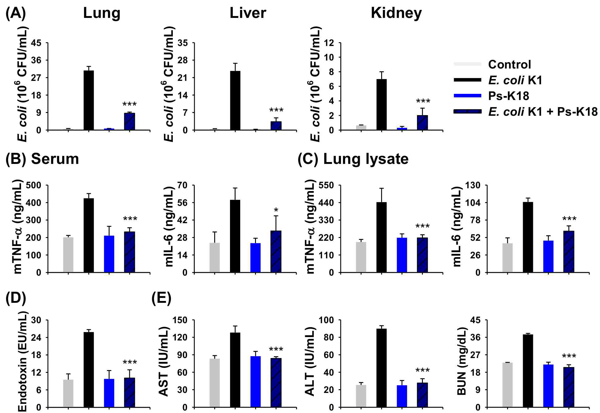 lipopolysaccharide (LPS)로 유발된 endotoxemia mouse model에서의 Ps-K18의 치료 효과 (A) serum에서의 cytokine (mTNF-α and mIL-6) 생성 억제능. (B) 폐조직에서의 cytokine (mTNF-α and mIL-6) 생성 억제능. (C) 체액에서의 LPS 억제능 (D) Aminotransferase (AST), alanine aminotransferase (ALT), and blood urea nitrogen (BUN) levels