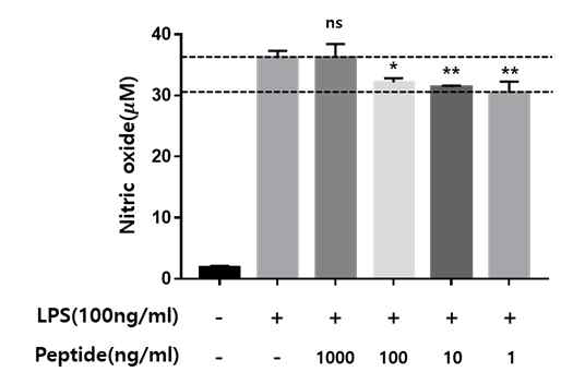 Raw264.7에서 LPS 자극에 의 nitric oxide 증가에 대한 LinTT1의 처리 효과