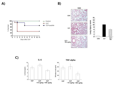 C1QBP 결합 항염펩타이드의 패혈증 억제 효과