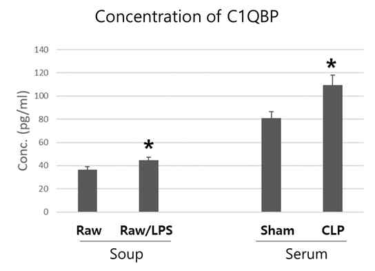 Raw264.7세포주의 배양액과 CLP 수행 마우스 혈청에서의 C1QBP 농도 측정 결과