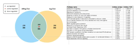 Raw264.7 세포에 C1QBP 처리에 따른 전사체의 변화. 증가하는 100ng/ml 1μg/ml C1QBP 처리시 공통적으로 증가와 감소하는 유전자의 개수 (오른편). Ontology analysis의 결과. (왼편)