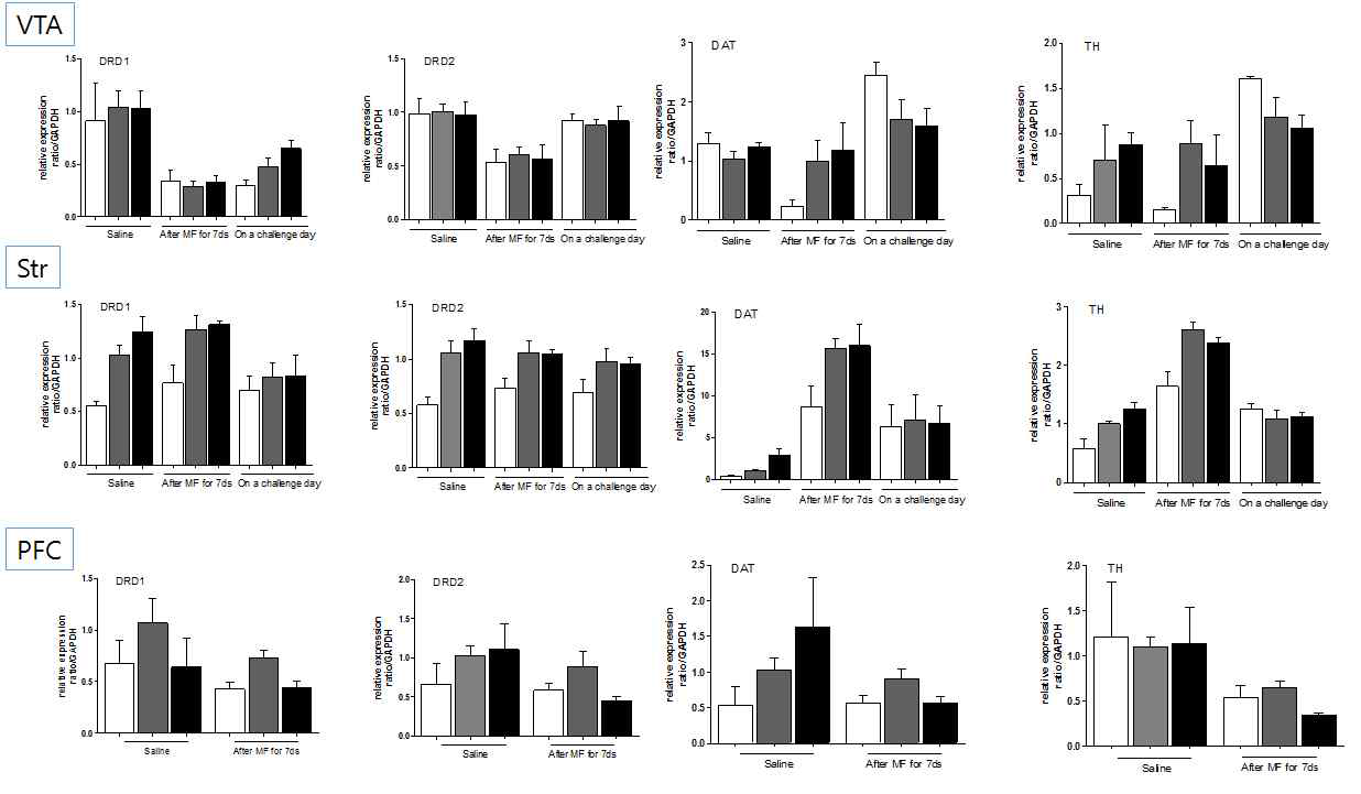 Expression level of dopamine system related genes in VTA, striatum and PFC of TG and WT mice. Expression level of DRD1, DRD2, DAT, TH respectively in animals after saline or morphine treatments. After locomotor sensitization test, gene expression levels were also analyzed on challenge day