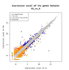 Scatter Plot