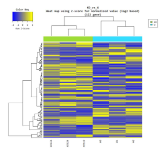 Heatmap