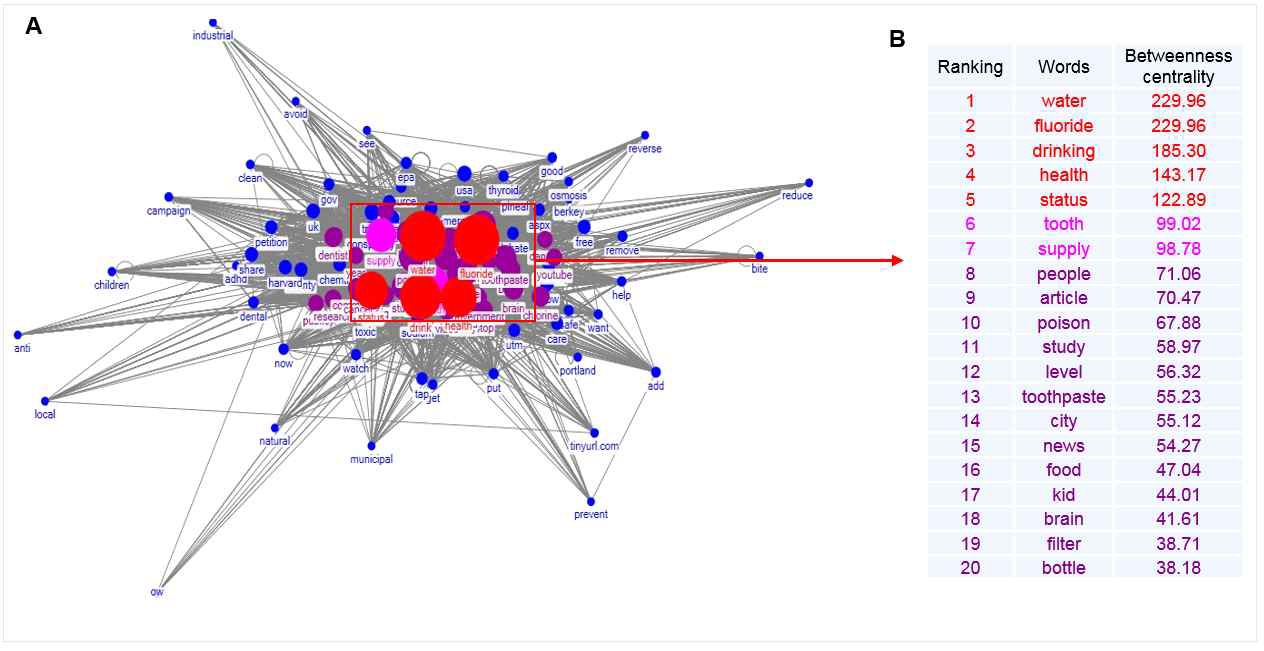 Co-occurrence network analysis on words in tweet mentions related to water fluoridation. (A) Network graph based on betweenness centrality. (B) Words ranked from 1 to 20 in betweenness centrality