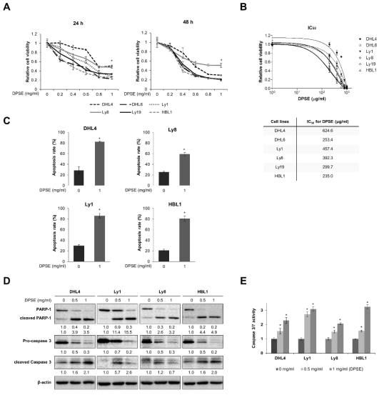 DPSE induces apoptosis in DLBCL cells by activating caspase-3/7 (A) Cell viability was measured by MTS assays after the exposure of multiple DLBCL cell lines to DPSE (0, 0.2, 0.4, 0.6, 0.8, and 1 mg/ml for 24 and 48 h). A two-tailed Mann Whitney test was used to calculate the statistical significance (*p < 0.05). (B) The IC50 values for DPSE were calculated by using GraphPad Prism 5 software following treatment with increasing amounts of DPSE for 24 h. (C) Apoptotic rate was measured by flow cytometry after addition of DPSE (1 mg/ml for 24 h) in DHL4, Ly8, Ly1 and HBL1 cells. The statistical significance was calculated using a two-tailed Mann-Whitney test (*p < 0.05). (D) Multiple DLBCL cell lines were treated with DPSE (0, 0.5, and 1 mg/ml for 24 h). Protein expression levels of PARP-1, cleaved PARP-1, pro-caspase 3, and cleaved caspase 3, which are markers for apoptosis, were assayed by western blotting in DHL4, Ly1, Ly8 and HBL1 cells. β-actin was used as a loading control. (E) Caspase-3/7 activities were analyzed using ELISA-based bioluminescence assays following treatment with DPSE (0, 0.5, and 1 mg/ml for 4, 8, or 12 h). A two-tailed one-way ANOVA test was used to calculate statistical significance (*p < 0.05)