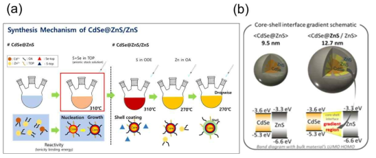 CdSe/ZnS, CdSe/ZnS/ZnS 코어쉘 구조 합성 과정, (b) 구조 및 에너지 모식도