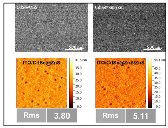 CdSe/ZnS, CdSe/ZnS/ZnS 다중 코어쉘 구조의 증착필름에 대한 SEM, AFM 이미지