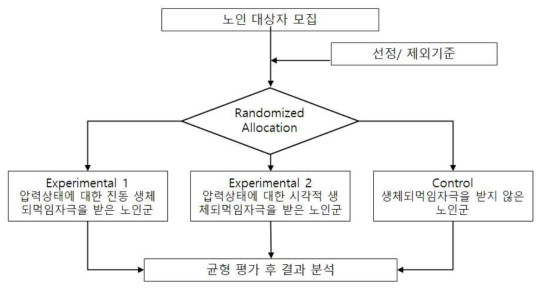 유용성확인을 위한 실험과정