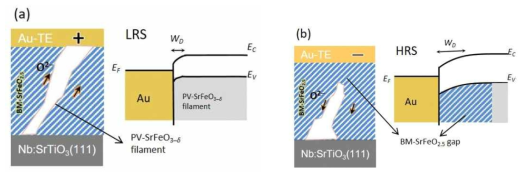 Schematic of electric-field-induced phase transition within the filament structure and corresponding Schottky barrier modulation in the Au/BM-SrFeO2.5/Nb:SrTiO3 (111) device for set (a) and reset (b) operations. Here, white and blue lines represent the octahedral and tetrahedral layer, respectively