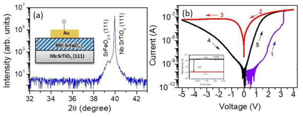 (a) X-ray diffraction θ−2θ patterns of as-deposited BM-SrFeO2.5/Nb:SrTiO3 (111) thin films. The inset shows a schematic of Au/ BM-SrFeO2.5/Nb:SrTiO3 (111) device (b) Resistive switching I−V characteristics of Au/ BM-SrFeO2.5/Nb:SrTiO3 (111) device. The inset shows Retention data for the low-resistance state (LRS) and the high-resistance state (HRS) after the “set” and “reset” steps, respectively