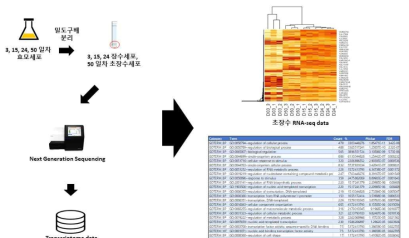 초장수세포 RNA-seq data