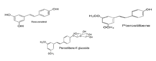 Resveratrol 유도체