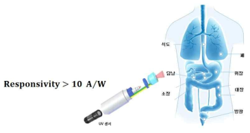 광학적 생체 검사용 UV 센서 성능 요구 조건