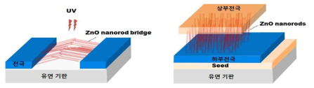 ZnO 수평형(좌측) 및 수직형 (우측) 자외선 감지 센서 구조