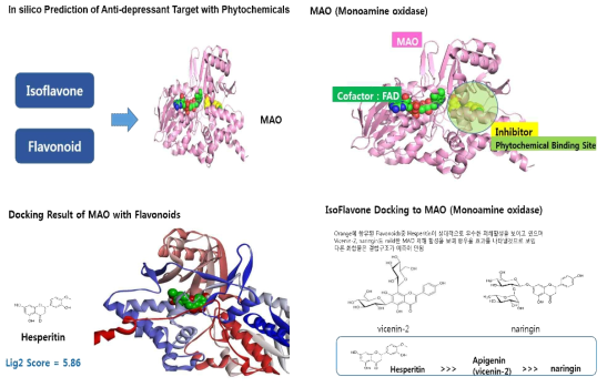 Result of molecular docking of phytochemicals