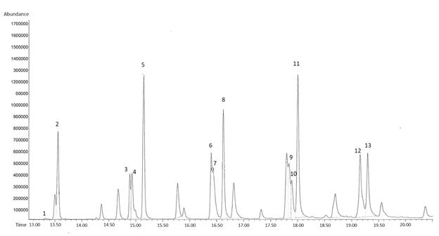 Gas chromatographic analysis of C. scolodendrifolius flower extract. Numbered peaks correspond to compounds. The names of compounds are indicated in Table 1