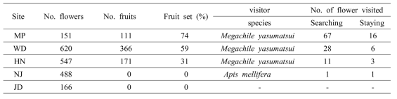 Fruit set rates and bee visit behavior at five Cleisostoma scolopendrifolium sites