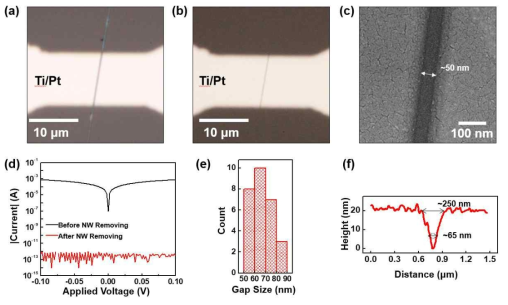 저비용 나노갭 전극 형성을 위해 (a) 나노와이어 위에 전극이 형성되는 모습, (b) 나노와 이어를 Lift-off 시킨 후 나노갭 전극이 형성된 모습, (c) 형성된 나노갭 전극을 AFM 장비를 통해 확인한 모습, (d) 나노와이어 Lift-off 전후의 전기적 특성 결과, (e) 형성한 나노갭 전극의 길이에 대한 횟수 및 재현성 실험 결과, (f) 나노갭의 높이별 전극의 길이에 대한 측정 결과